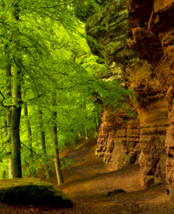 Germany, Rhineland-Palatinate, nature reserve Palatine wood, Eppenbrunn, "Altschlossfelsen" from new red sandstone Germany, Rhineland-Palatinate, nature reserve Palatine wood, Eppenbrunn, "Altschlossfelsen" from new red sandstone